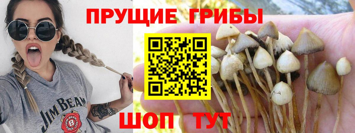 Галлюциногенные грибы мухоморы  Галлюциногенные грибы мицелий  Киров  Вход с VPN 